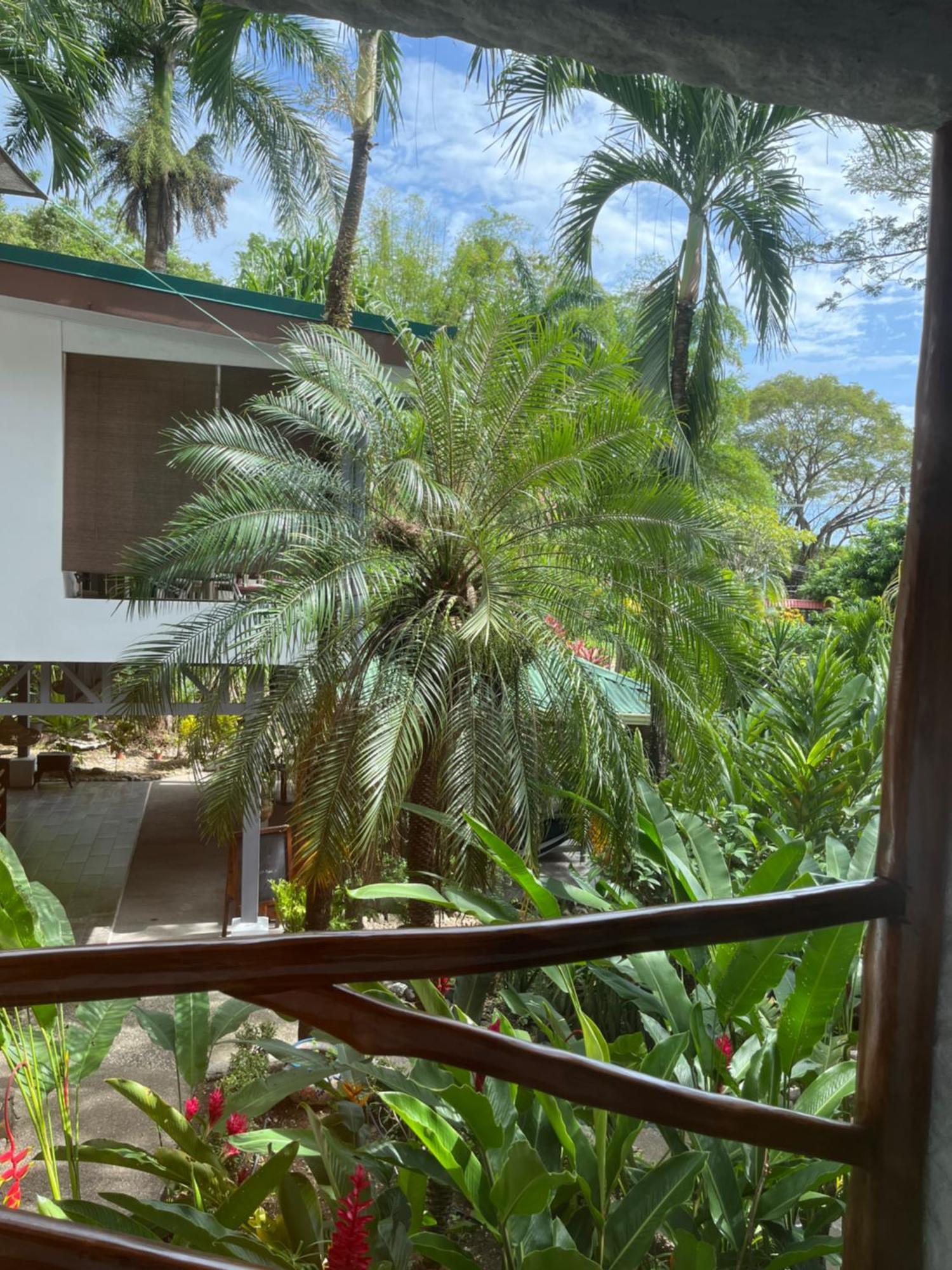 Hotel Entre Dos Aguas Sámara Esterno foto